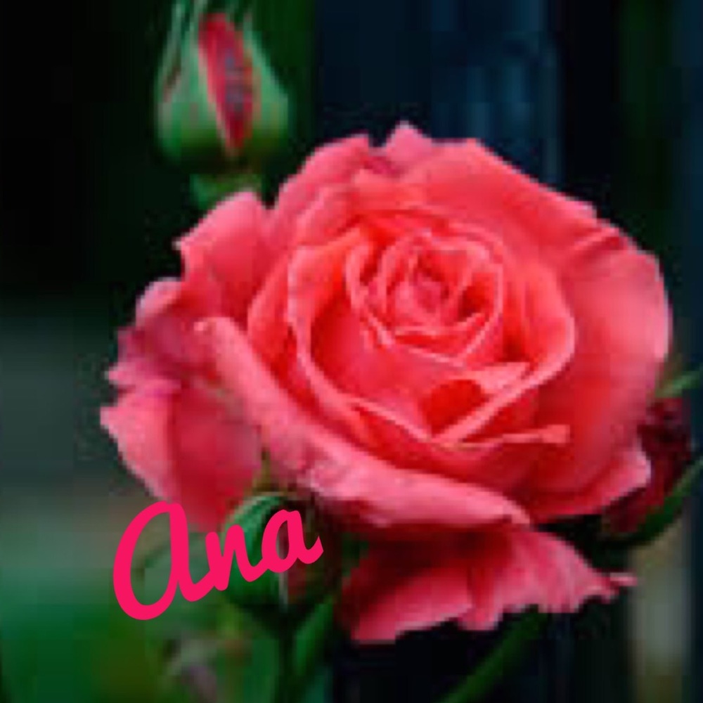 Meet your Posher, Ana